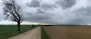 Ağacı ve yolu olan güzel bir manzara.