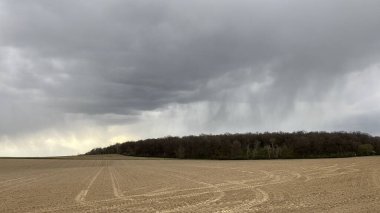 İlkbaharda bir tarla Bulutlu gökyüzünün altında