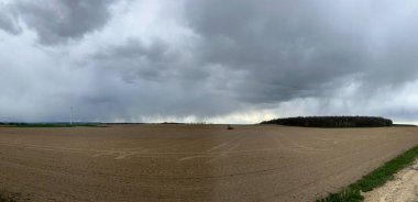 Buğday tarlası manzarası