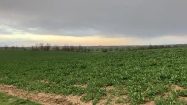 Doğanın güzel manzarası