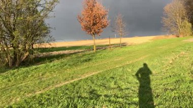 Bir adam sonbahar ormanında yürür.