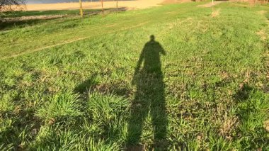 Sahada genç bir adam.