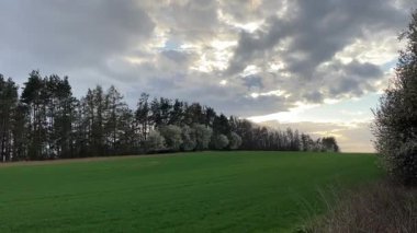 Kırsaldaki yeşil çim tarlası