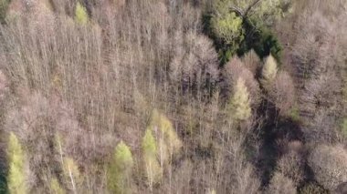 Bahar Ormanı 'nın hava aracı görüntüsü