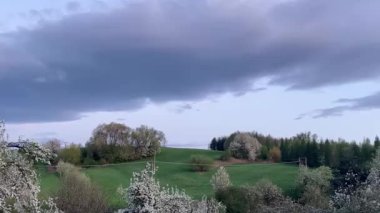 Ağacı olan güzel bir bahar manzarası