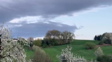 Güzel doğa manzarası.