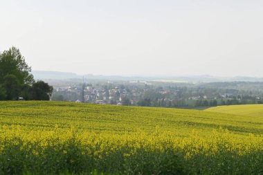 Kırsal kesimdeki tarımın manzarası