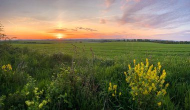 Arkasında günbatımı olan bir alan