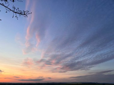 Tarlada otlayan bir atla gün batımı