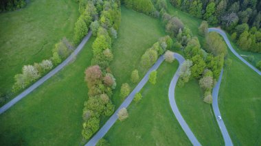 Ormanda yol