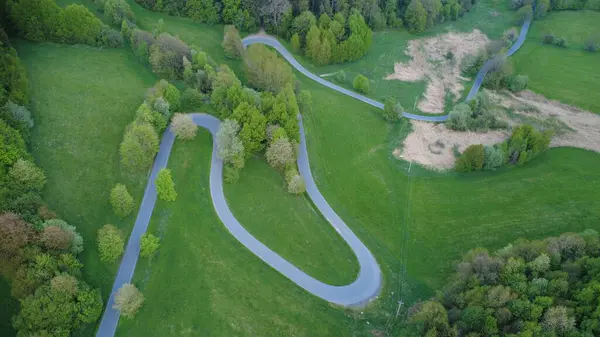 Yeşil orman yolunun havadan görünüşü