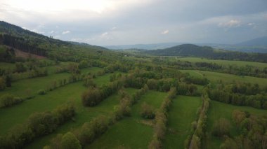 Çek Cumhuriyeti 'nin Hanuovice yakınlarındaki Vojtkov köyünün akşam manzarası. Ormanlar, yuvarlanan tepeler ve yumuşak akşam ışığında manzaralı kırsal manzarayla çevrili geleneksel bir kırsal bölge.