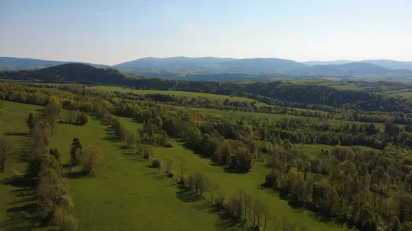 Yeşil bir ormanda hava manzarası