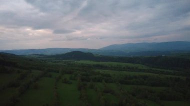 Yeşil tarlaların güzel manzarasının havadan görünüşü