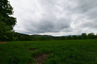 Ağaçlar ve bulutlarla dolu güzel bir manzara.