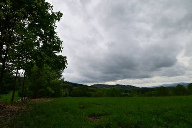 Arkasında ağaçlar olan yeşil bir tarlanın güzel bir görüntüsü.