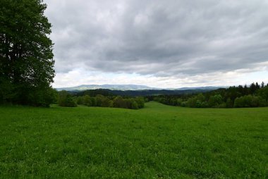 Arkasında ağaçlar ve orman olan yeşil bir alan. Slovakya