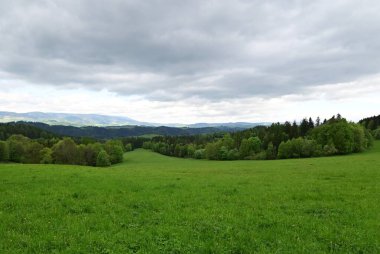 Dağlarda yeşil çimenler olan güzel bir yaz çayırı