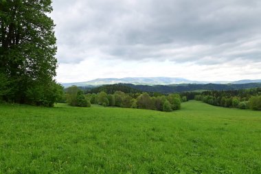 Yeşil çayırlı güzel bahar manzarası
