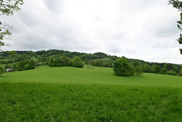 Alplerin manzarasının manzarası