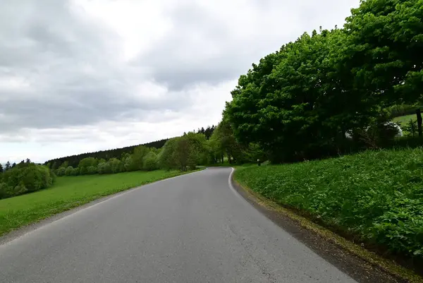 Bulutlu gökyüzünün altında yeşilliklerle çevrili, ormanda güzel bir yol görüntüsü.