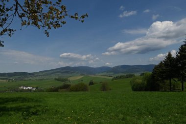 Güzel bir manzara Ağacı ve mavi gökyüzü