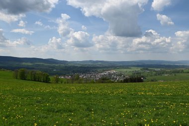 Çiçek tarlası ve bulutlu gökyüzü olan güzel bir manzara.