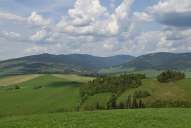 Yeşil çayır üzerinde güzel manzara ve arka planda dağlar