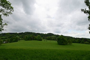 Ormanlı ve ağaçlı yeşil çayır