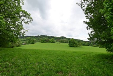 Doğanın güzel manzarası