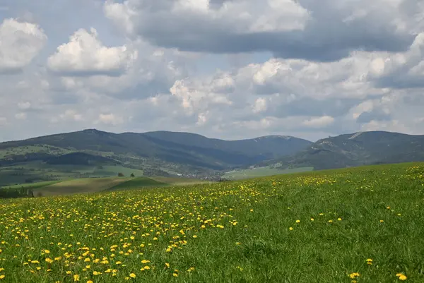 Yeşil çayır ve mavi gökyüzü ile güzel yaz manzarası, Kraliky, Çek 