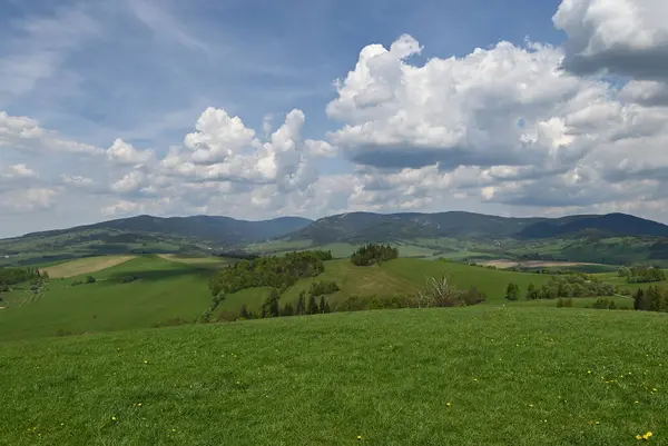 Toskana 'daki yeşil alan manzarası.