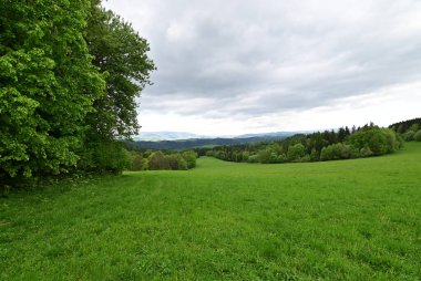 Ormanlı güzel yeşil tarla