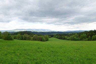 Çimen tarlası ve bulutlu gökyüzü olan güzel bir manzara.