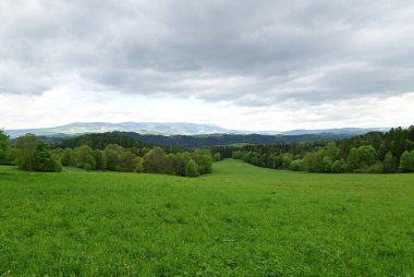 Yeşil çimenlerle ve bulutlu gökyüzüyle güzel bir manzara.