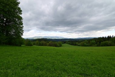 Yeşil çimenlerle ve bulutlu gökyüzüyle güzel bir manzara.