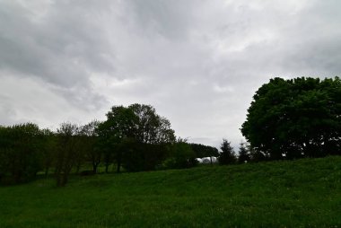 Ağacı ve dağı olan güzel bir manzara.