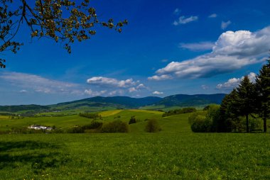 Doln Morava yakınlarındaki Krlick Snnk Ulusal Doğa Rezervi 'ndeki Çek manzarasının güneşli günü manzarası.