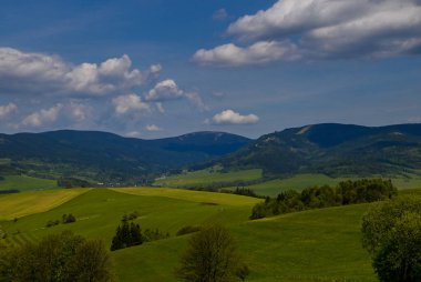 Doln Morava yakınlarındaki Krlick Snnk Ulusal Doğa Rezervi 'ndeki Çek manzarasının güneşli günü manzarası.