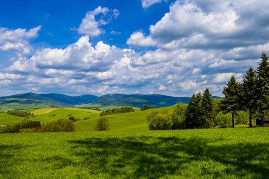 Güneşli bir günde güzel Çek dağlarında bir dağ gezisi sırasında doğayla uyum içinde insanları yakalayan manzaralı bir an..