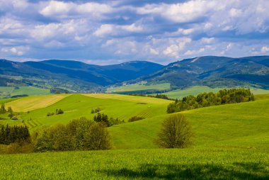 Güneşli bir günde güzel Çek dağlarında bir dağ gezisi sırasında doğayla uyum içinde insanları yakalayan manzaralı bir an..