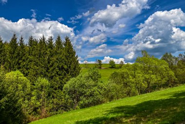 Çek Cumhuriyeti, Orlick Hory 'da nefes kesen bahar manzarası. Panoramik bir manzara, yemyeşil tepeleri, açık mavi gökyüzünü ve Çek kırsalının güzelliğini gözler önüne seriyor..