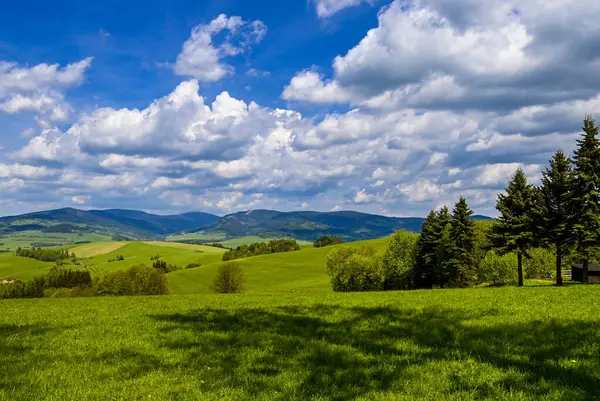 Güneşli bir günde güzel Çek dağlarında bir dağ gezisi sırasında doğayla uyum içinde insanları yakalayan manzaralı bir an..