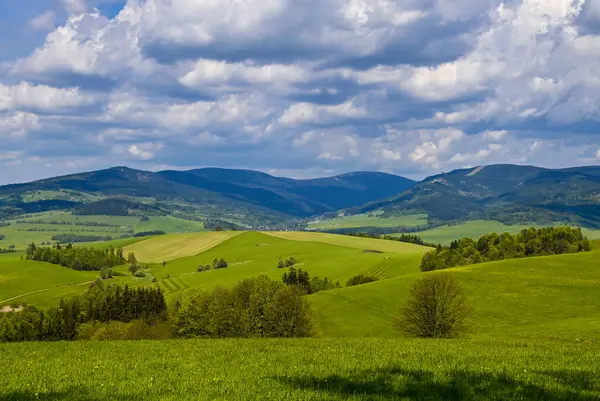 Güneşli bir günde güzel Çek dağlarında bir dağ gezisi sırasında doğayla uyum içinde insanları yakalayan manzaralı bir an..