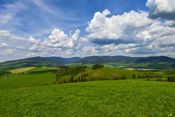 Doln Morava yakınlarındaki Krlick Snnk Ulusal Doğa Rezervi 'ndeki Çek manzarasının güneşli günü manzarası. Bu korunmuş doğal bölgede verimli ormanları, yuvarlanan tepeleri ve el değmemiş doğayı gösteren nefes kesici bir manzara..