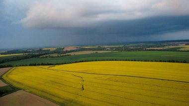 Tarlaların ve Hollanda devletinin arazilerinin manzarası