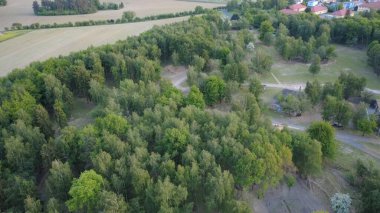 Finlandiya 'daki yeşil ormanın hava görüntüsü, insansız hava aracı.