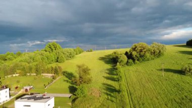 Yazın yeşil tarım alanının havadan görünüşü