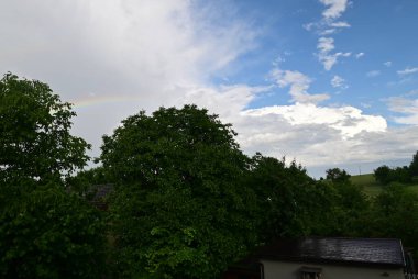 Ağacı ve bulutlu gökyüzü olan güzel bir manzara.