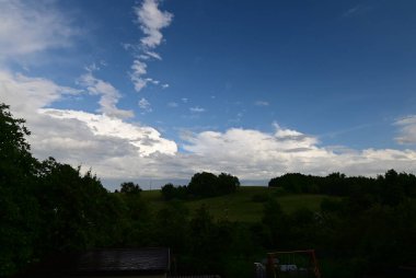 Ağaçlı ve ağaçlı güzel bir manzara.